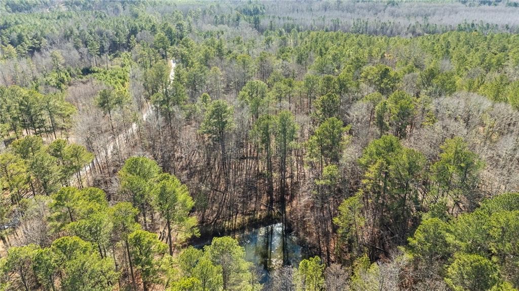 other for sale at 0 Pace Road, Chattahoochee Hills, GA 30213 — photo 3