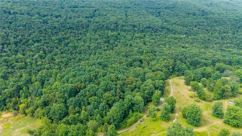 single family residence for sale at 00 Newsome Gap Road, Rising Fawn, GA 30738 — photo 3