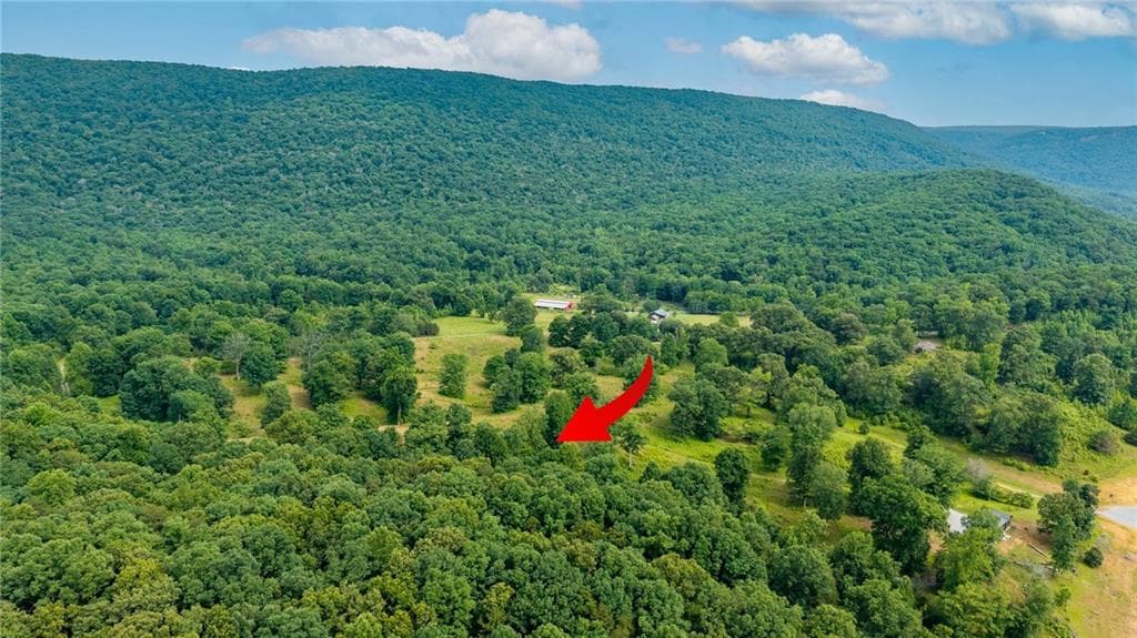 single family residence for sale at 00 Newsome Gap Road, Rising Fawn, GA 30738 — photo 5