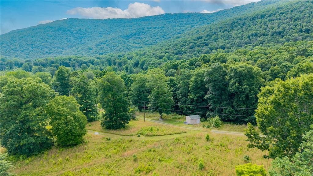 single family residence for sale at 00 Newsome Gap Road, Rising Fawn, GA 30738 — photo 9