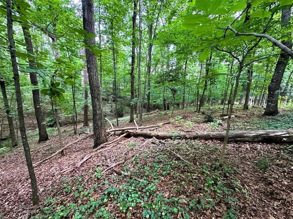 single family residence for sale at 00 Thornwood Drive, Calhoun, GA 30701 — photo 4