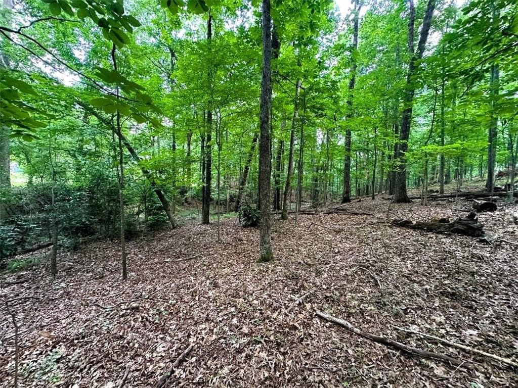 single family residence for sale at 00 Thornwood Drive, Calhoun, GA 30701 — photo 5