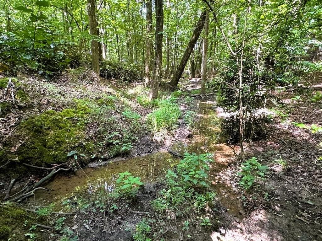single family residence for sale at 00 Thornwood Drive, Calhoun, GA 30701 — photo 8