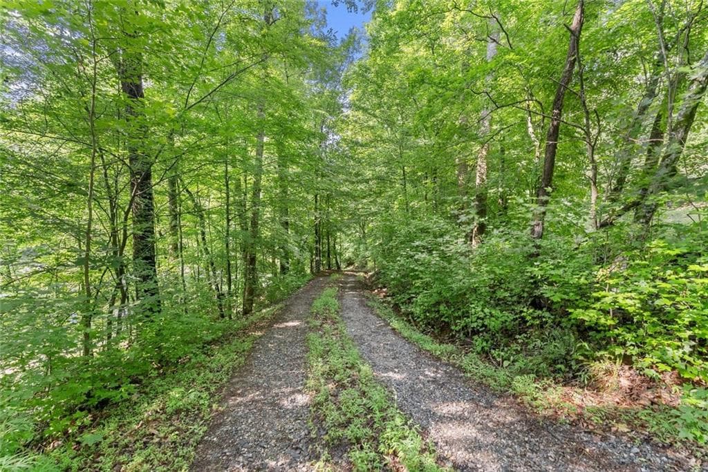 other for sale at 0 Long Branch Road, Dahlonega, GA 30533 — photo 3