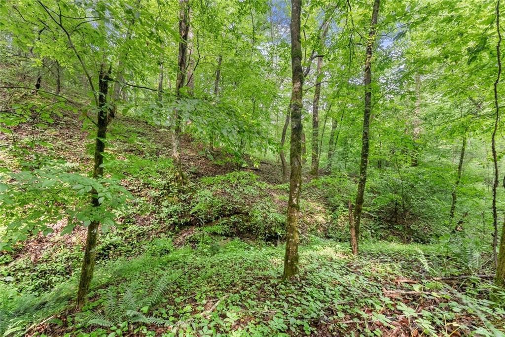 other for sale at 0 Long Branch Road, Dahlonega, GA 30533 — photo 5