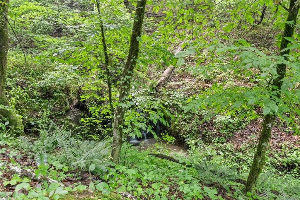 other for sale at 0 Long Branch Road, Dahlonega, GA 30533 — photo 6