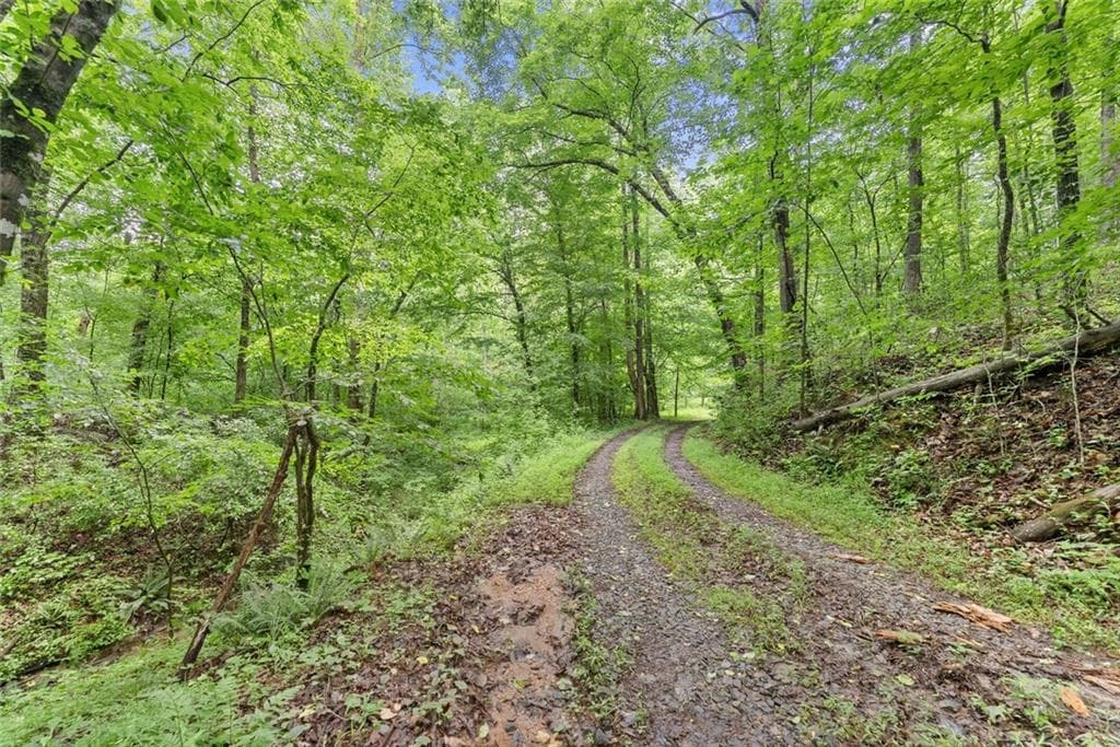 other for sale at 0 Long Branch Road, Dahlonega, GA 30533 — photo 7