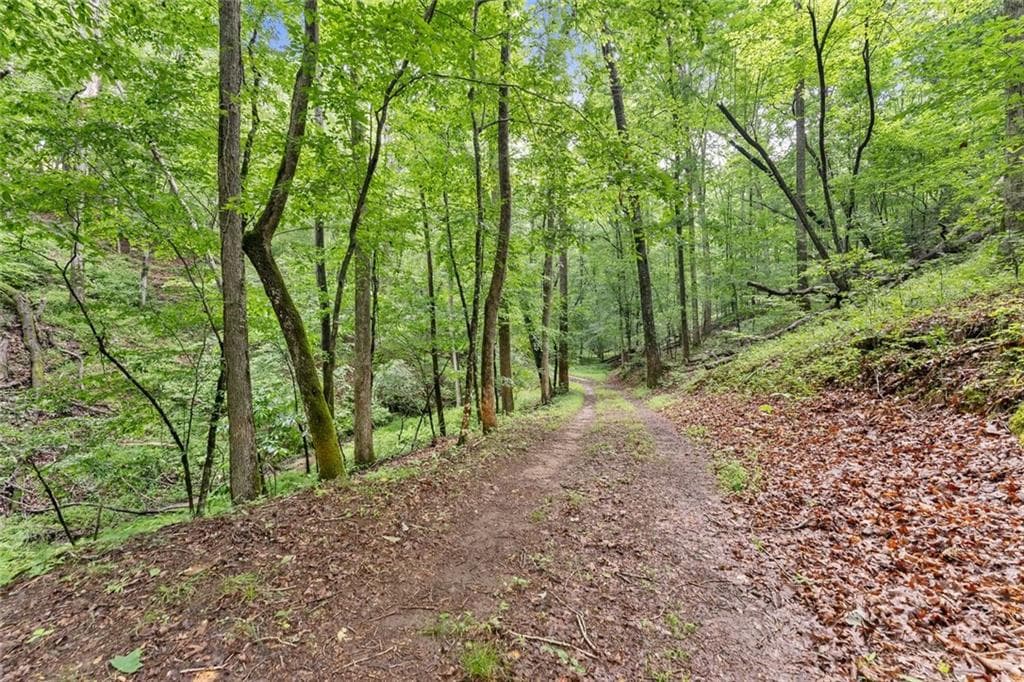 other for sale at 0 Long Branch Road, Dahlonega, GA 30533 — photo 8