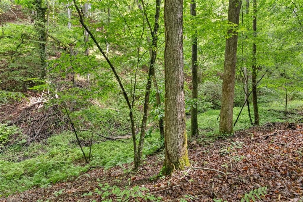 other for sale at 0 Long Branch Road, Dahlonega, GA 30533 — photo 9