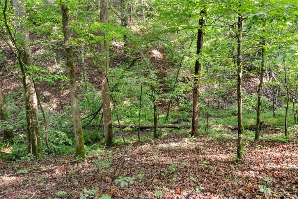 other for sale at 0 Long Branch Road, Dahlonega, GA 30533 — photo 10