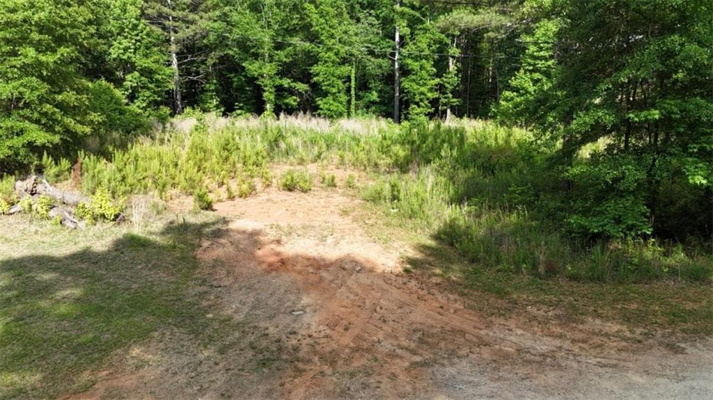 other for sale at 1 Parker Drive, Statham, GA 30666 — photo 6