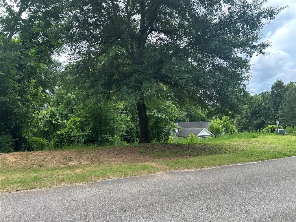 other for sale at 4714 Thunder River Drive, Gainesville, GA 30506 — photo 6