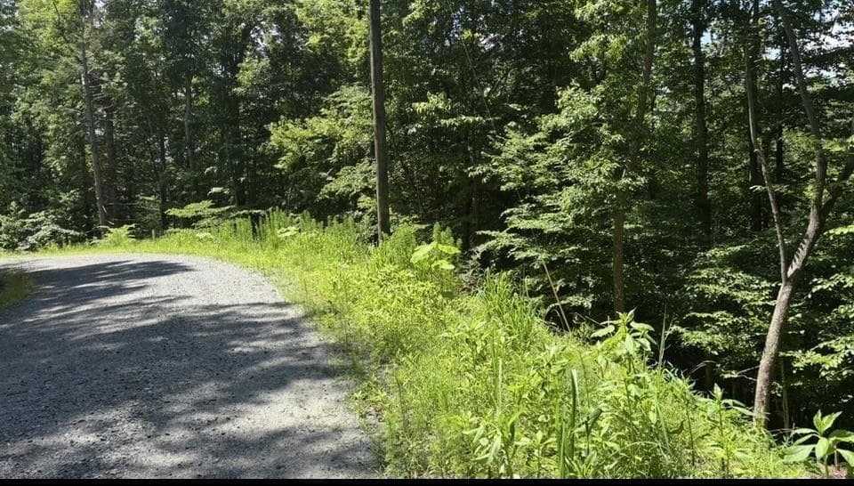 single family residence for sale at Lt 780 Omen Circle, Ellijay, GA 30540 — photo 1 of 6