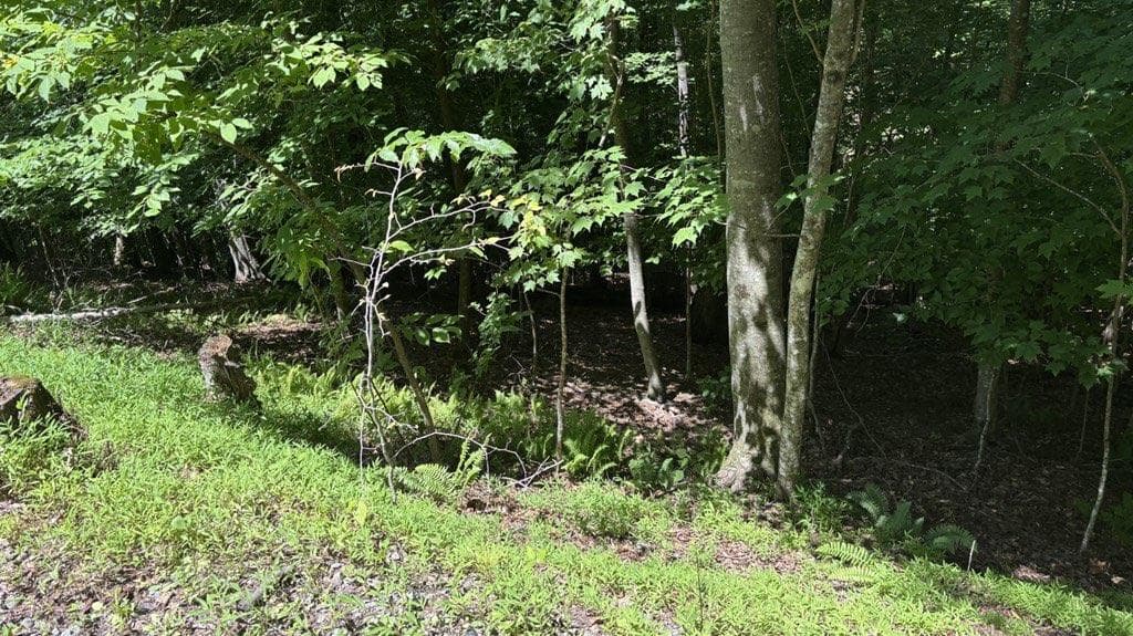 single family residence for sale at Lt 780 Omen Circle, Ellijay, GA 30540 — photo 4