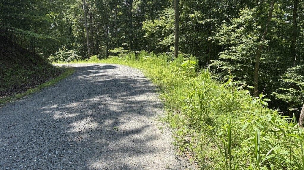single family residence for sale at Lt 780 Omen Circle, Ellijay, GA 30540 — photo 6