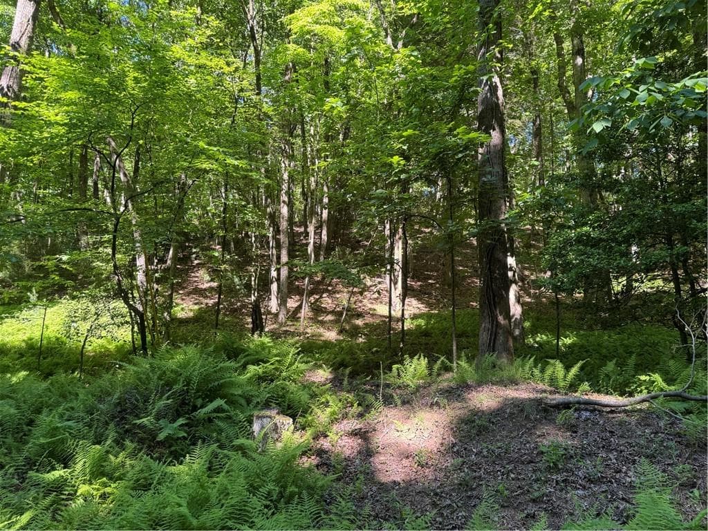 single family residence for sale at 0 Walhalla Court, Ellijay, GA 30540