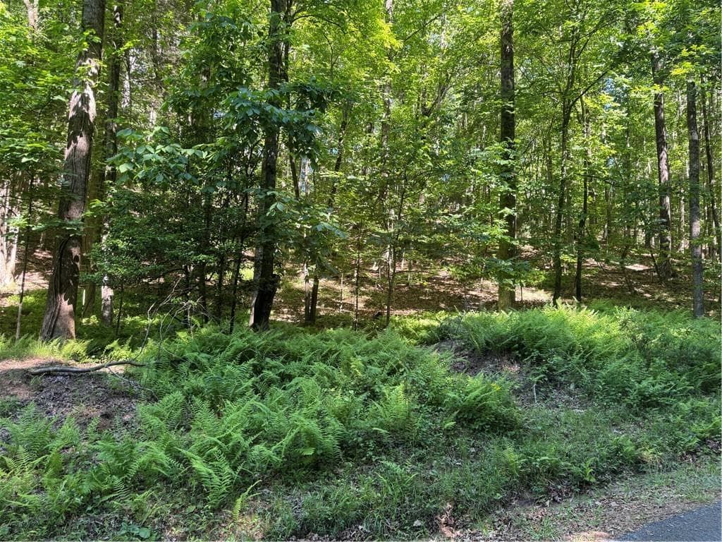 single family residence for sale at 0 Walhalla Court, Ellijay, GA 30540 — photo 2
