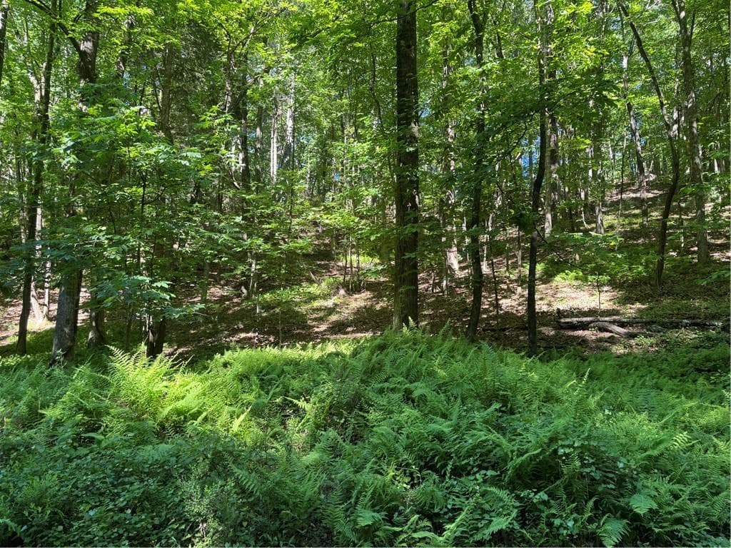 single family residence for sale at 0 Walhalla Court, Ellijay, GA 30540 — photo 3