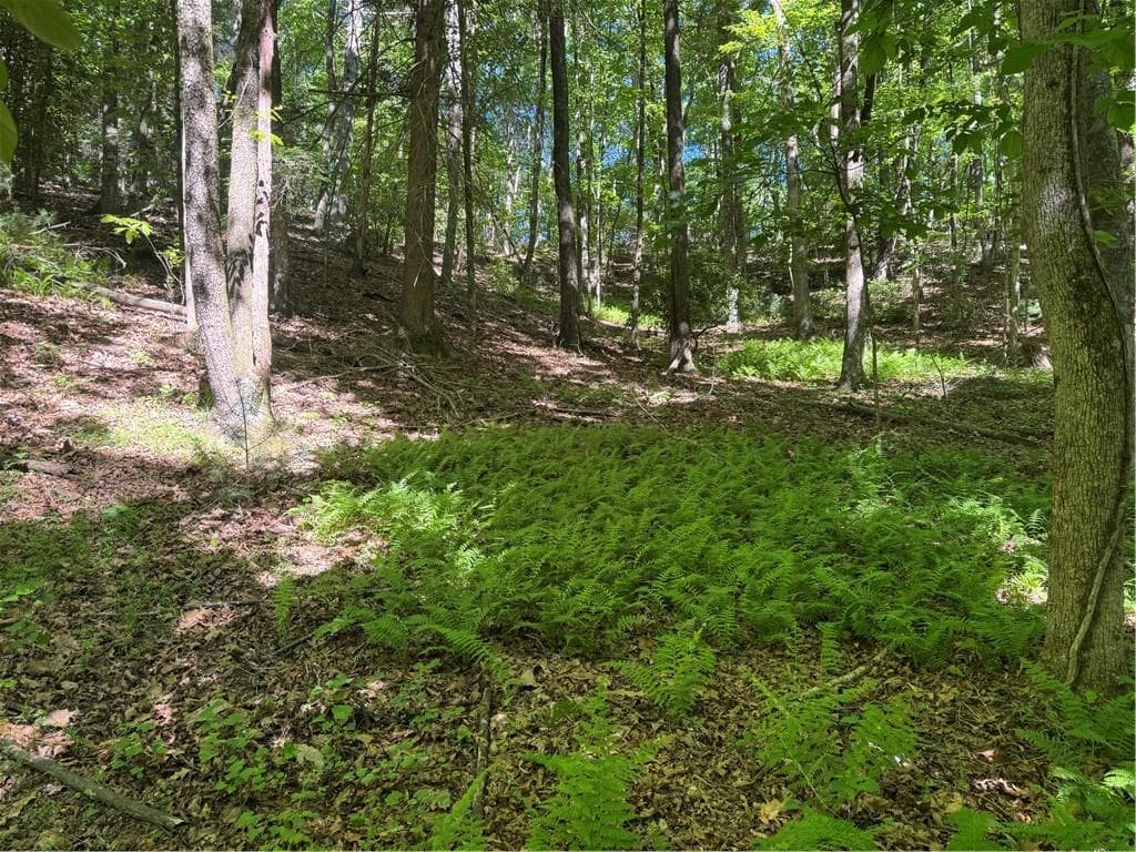 single family residence for sale at 0 Walhalla Court, Ellijay, GA 30540 — photo 4