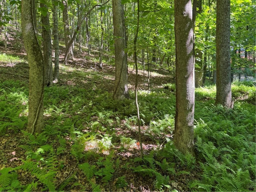 single family residence for sale at 0 Walhalla Court, Ellijay, GA 30540 — photo 5