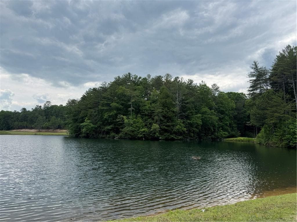 single family residence for sale at 0 Walhalla Court, Ellijay, GA 30540 — photo 8