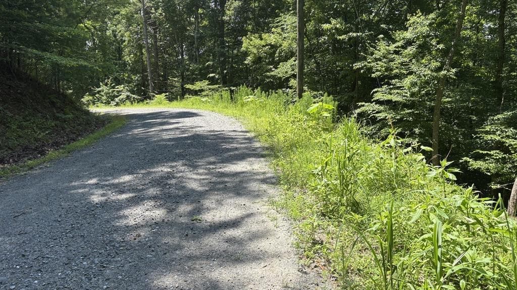 single family residence for sale at LT 781 Omen Circle, Ellijay, GA 30540 — photo 1 of 6