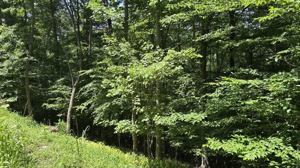 single family residence for sale at LT 781 Omen Circle, Ellijay, GA 30540 — photo 3