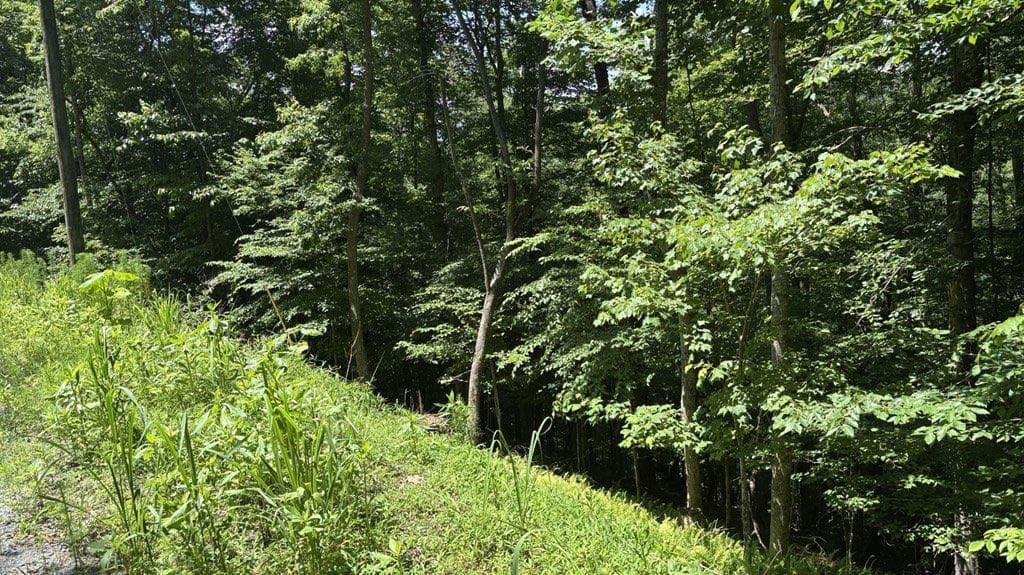 single family residence for sale at LT 781 Omen Circle, Ellijay, GA 30540 — photo 4
