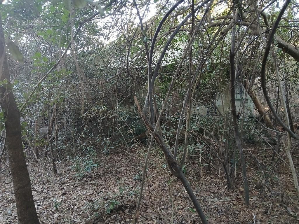 unimproved land for sale at 742 Campbell Road, Covington, GA 30014 — photo 2