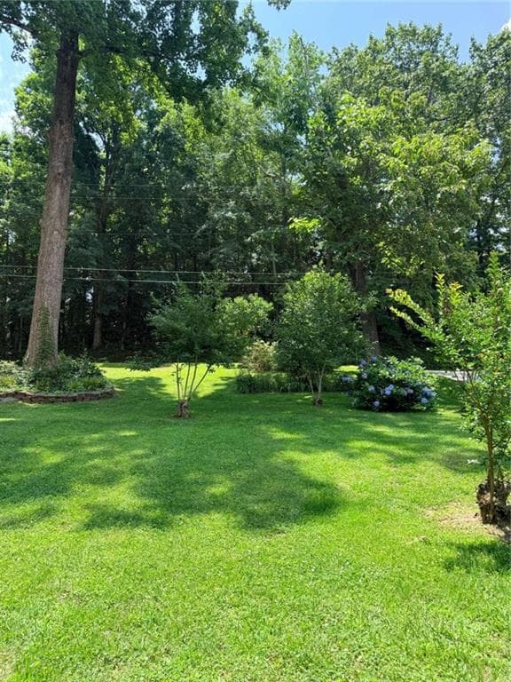 3 bedroom, 2 bathroom, 1,125 sq ft single family residence for sale at 314 Spring Street, Toccoa, GA 30577 — photo 5