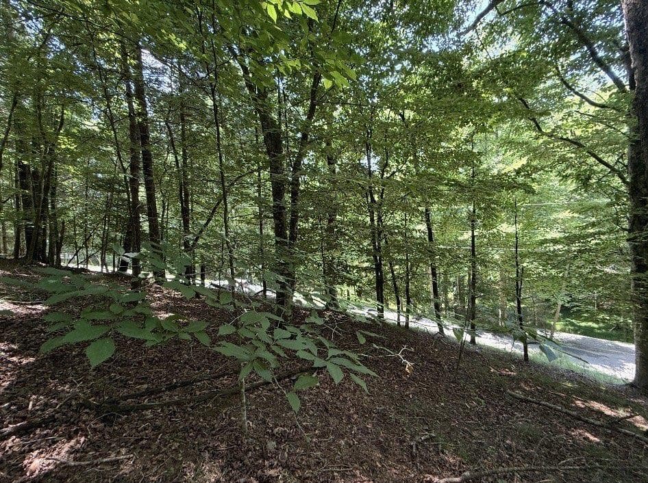 single family residence for sale at LT3469 Fir Lane, Ellijay, GA 30540 — photo 1 of 5