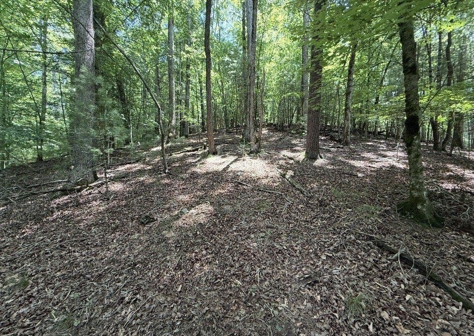 single family residence for sale at LT3469 Fir Lane, Ellijay, GA 30540 — photo 3