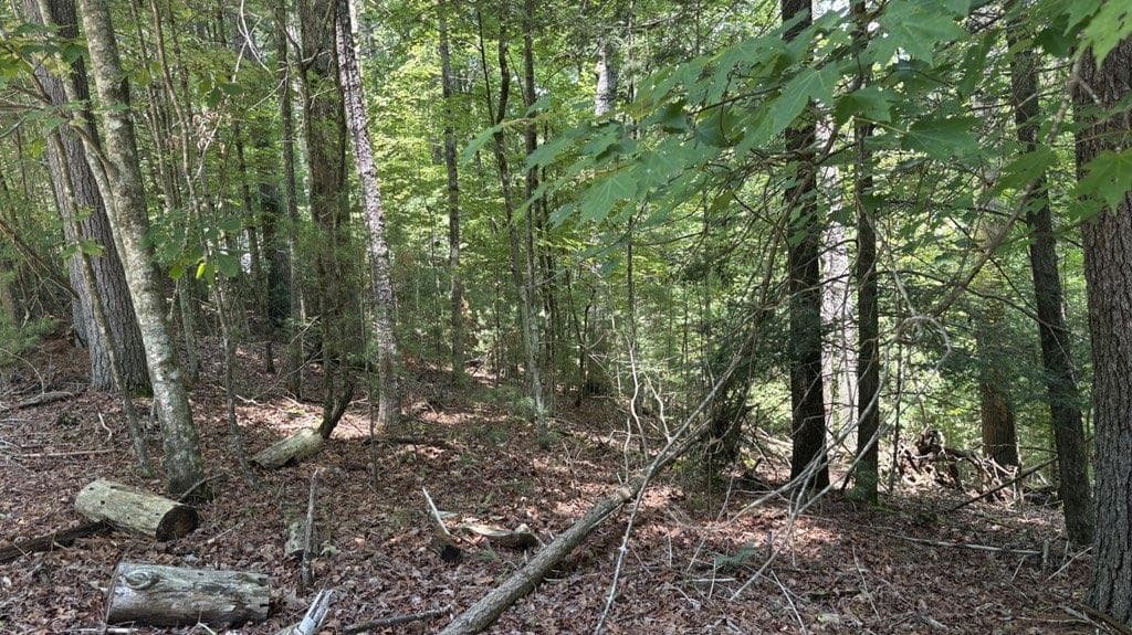 single family residence for sale at LT3469 Fir Lane, Ellijay, GA 30540 — photo 4