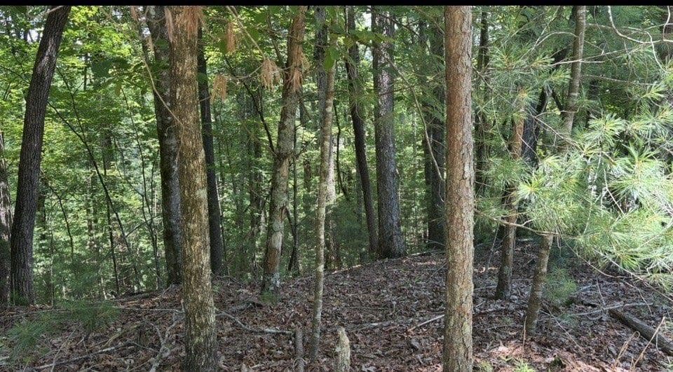 single family residence for sale at LT3469 Fir Lane, Ellijay, GA 30540 — photo 5