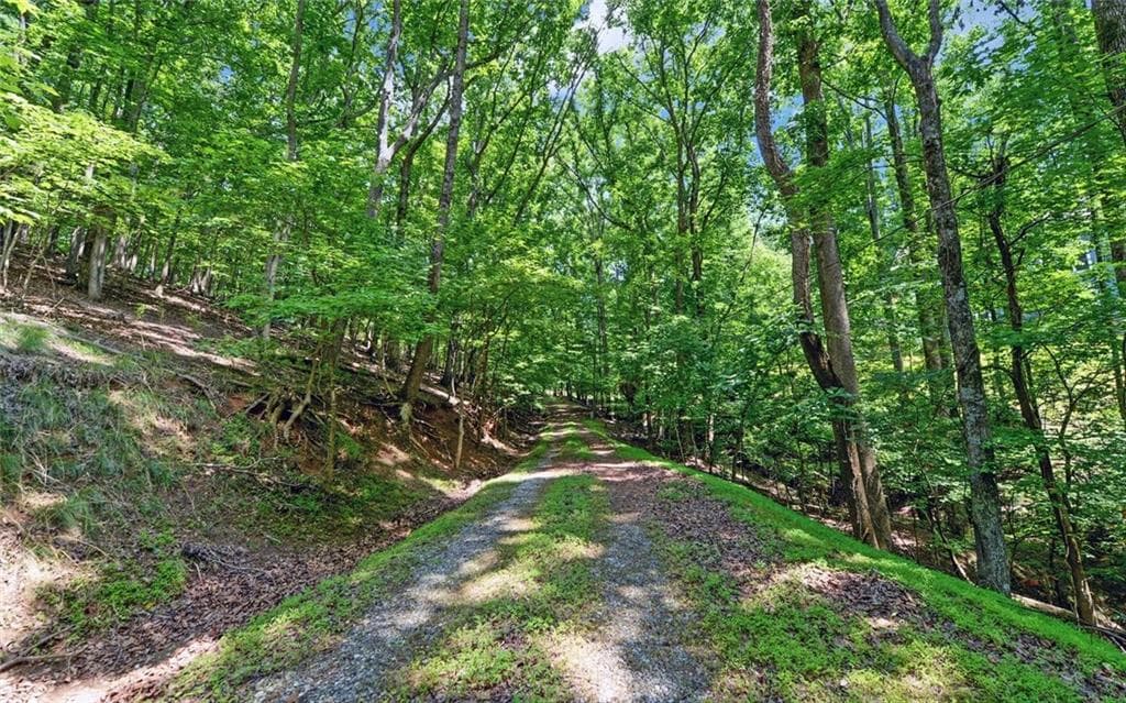 2 bedroom, 2 bathroom, 1,296 sq ft single family residence for sale at 4273 Cherokee Trail, Gainesville, GA 30504 — photo 5