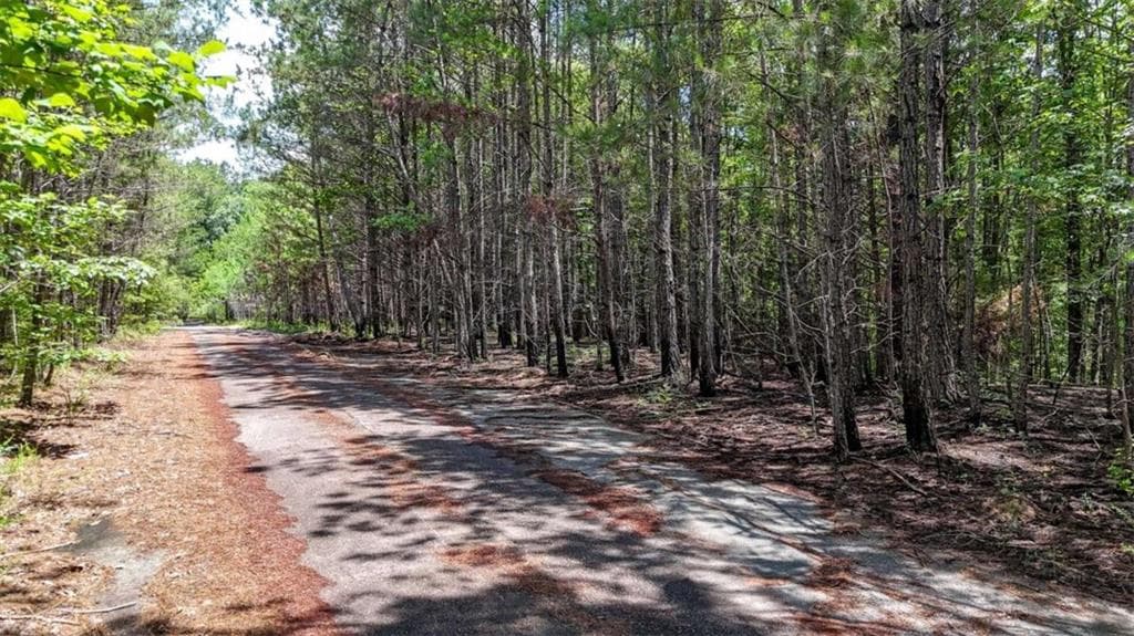 single family residence for sale at 47 Lot, Rockmart, GA 30153 — photo 3