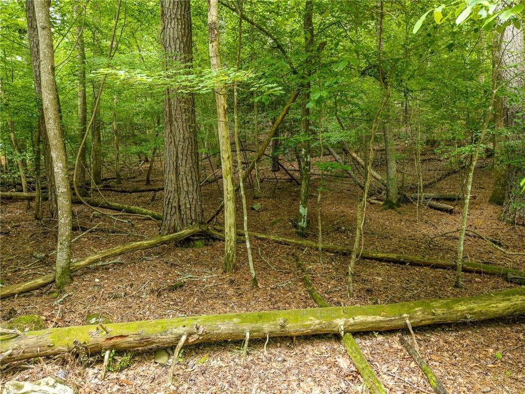 other for sale at 0 Faraday Drive, Ellijay, GA 30540 — photo 5
