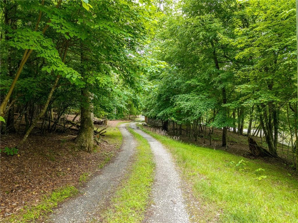 other for sale at 0 Faraday Drive, Ellijay, GA 30540 — photo 6