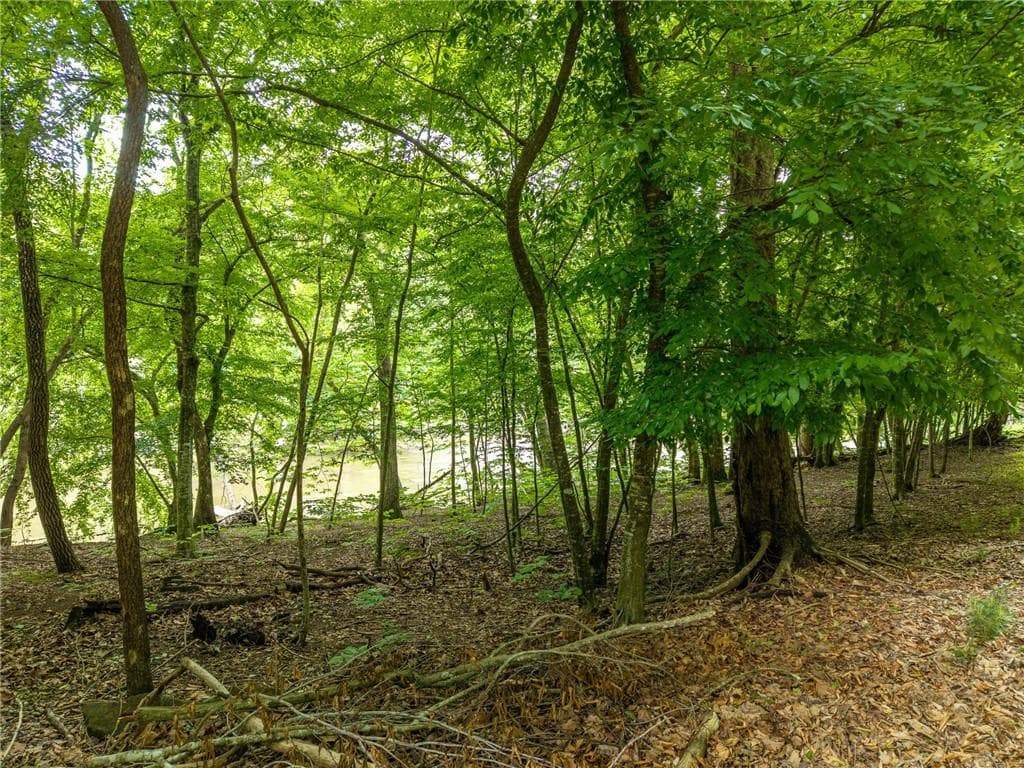 other for sale at 0 Faraday Drive, Ellijay, GA 30540 — photo 7