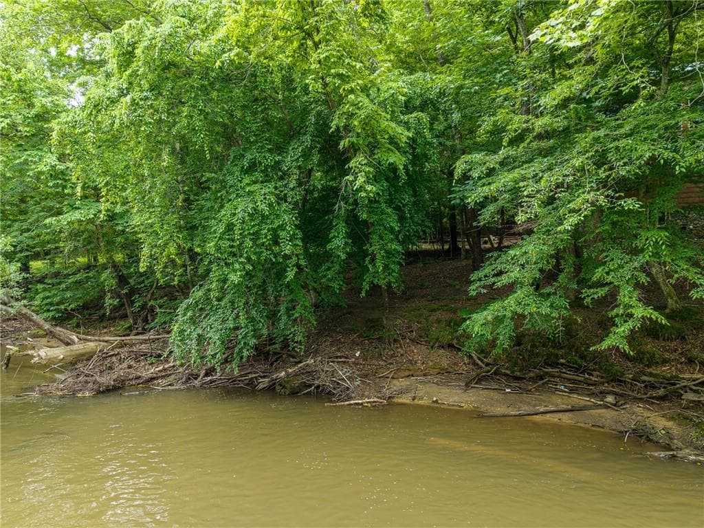 other for sale at 0 Faraday Drive, Ellijay, GA 30540 — photo 10
