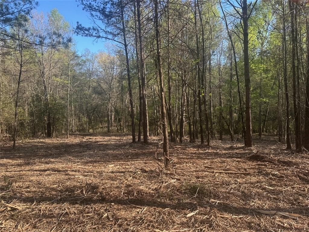 single family residence sold at 00 Lee Mashburn Road, Dahlonega, GA 30533