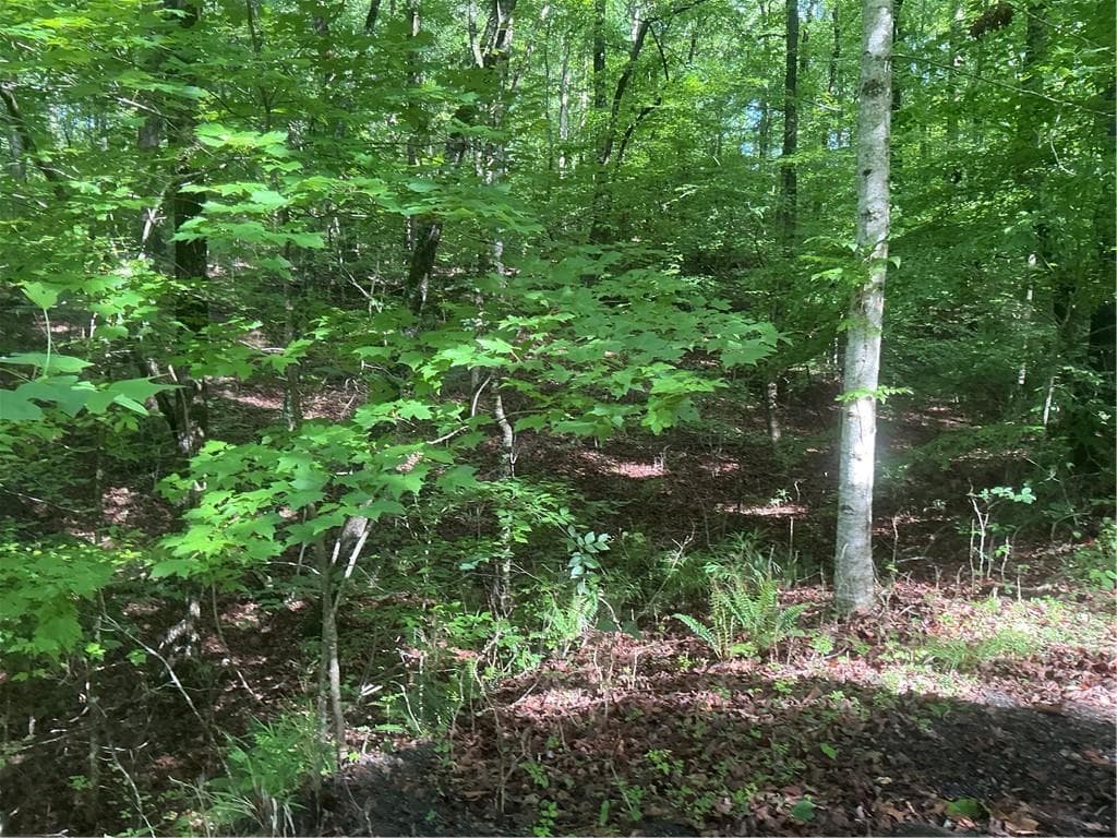 other under contract at 0 Mountain Brook Road, Dawsonville, GA 30534 — photo 5