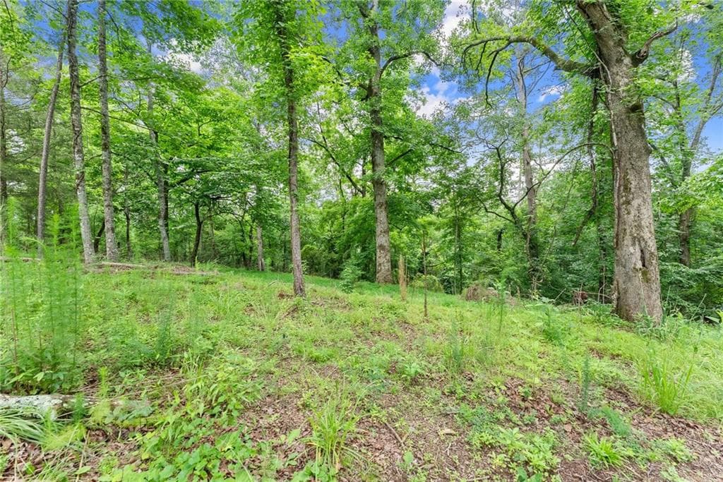 single family residence for sale at LOT 35 Lakemont Trail, Demorest, GA 30535 — photo 3