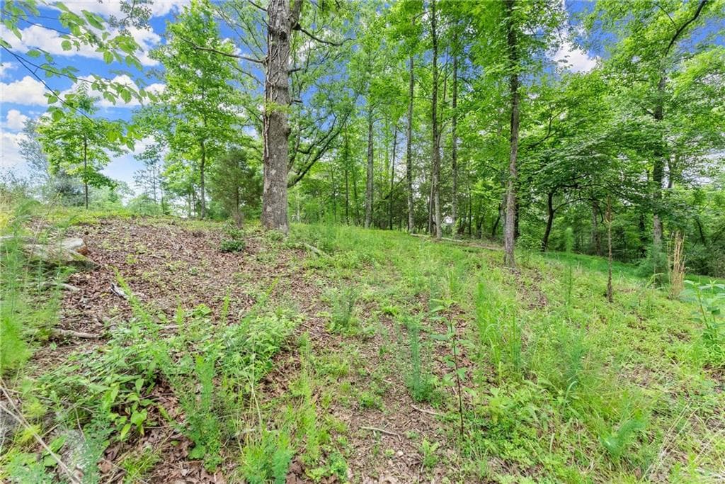 single family residence for sale at LOT 35 Lakemont Trail, Demorest, GA 30535 — photo 4