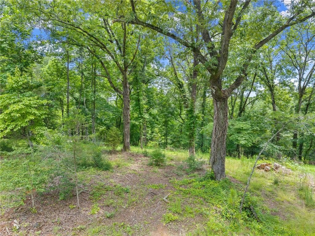 single family residence for sale at LOT 35 Lakemont Trail, Demorest, GA 30535 — photo 10