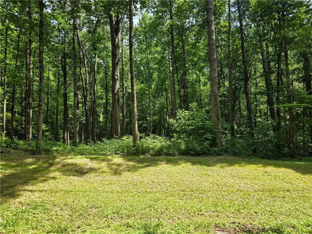 3 bedroom, 2 bathroom single family residence for sale at 5 Lots Rome St. & Driver St., Temple, GA 30179 — photo 3