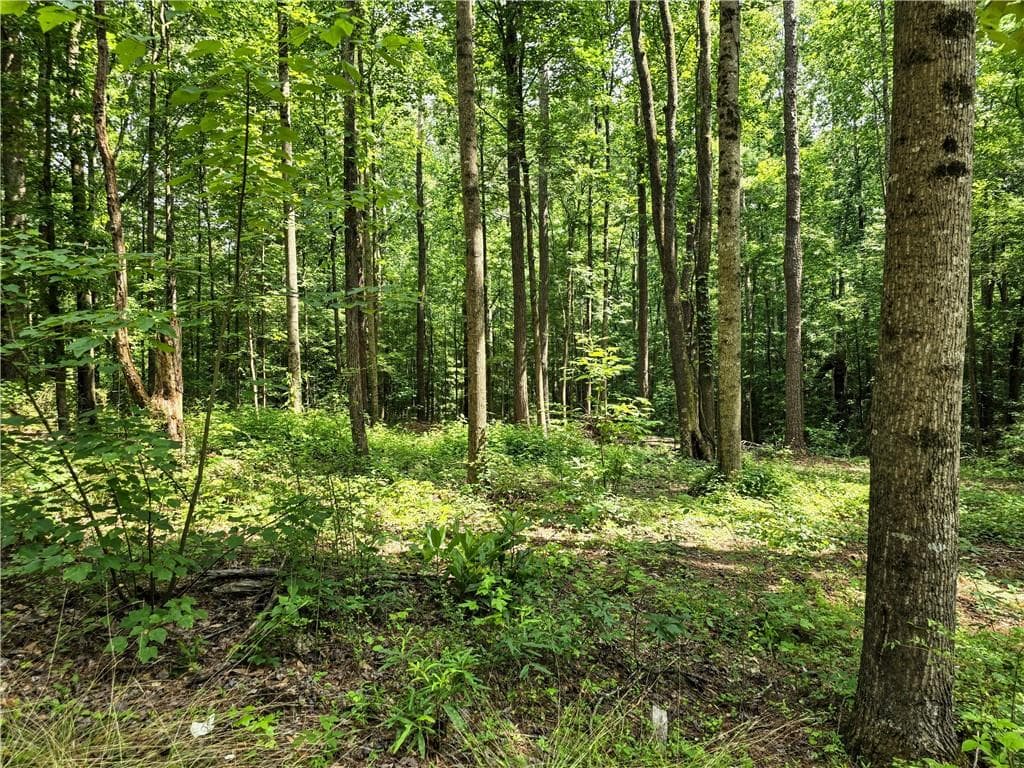 3 bedroom, 2 bathroom single family residence for sale at 5 Lots Rome St. & Driver St., Temple, GA 30179 — photo 4