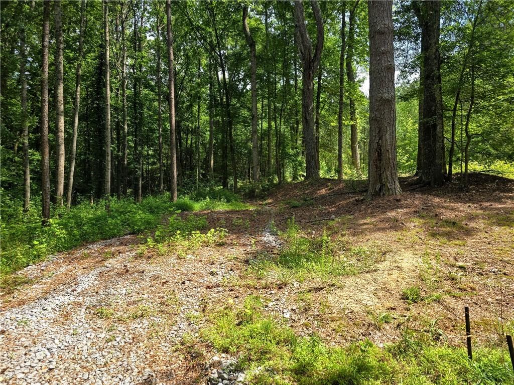 3 bedroom, 2 bathroom single family residence for sale at 5 Lots Rome St. & Driver St., Temple, GA 30179 — photo 5
