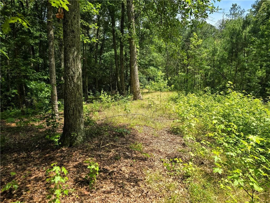 3 bedroom, 2 bathroom single family residence for sale at 5 Lots Rome St. & Driver St., Temple, GA 30179 — photo 7