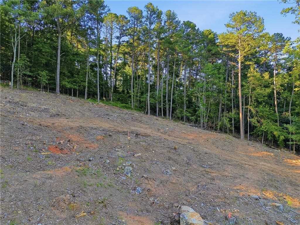 unimproved land for sale at 0 Warwick, Rome, GA 30161 — photo 10